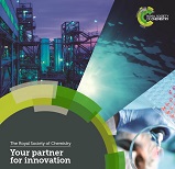 B2B Brochure: Strategic Partner Offering